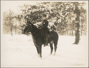 Policeman sitting astride a horse in the snow