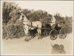 Man driving horse-drawn buggy