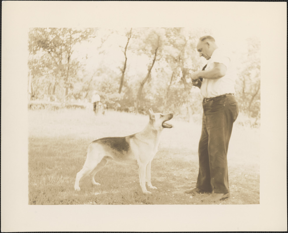 Man and dog