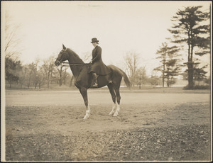 Woman sitting astride a horse
