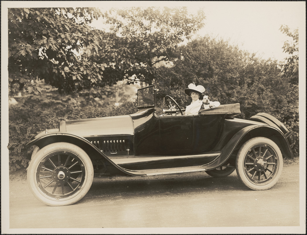 Woman with dog sitting in automobile - Digital Commonwealth