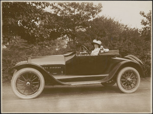 Woman with dog sitting in automobile