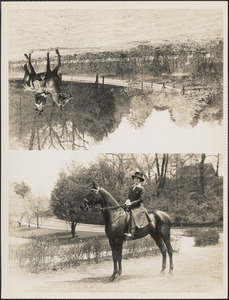 A woman sitting astride a horse