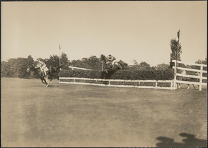 Horse race in acation [i.e. action]