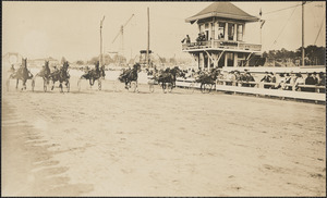 Horse race in acation [i.e. action]