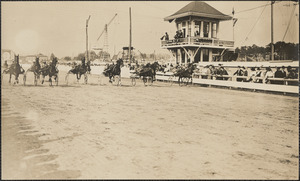 Horse race in acation [i.e. action]