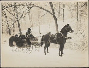 Man and two women in a horse drawn sleigh