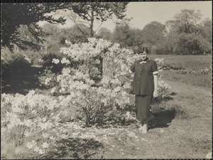 Jean Nahabedian at Arnold Arboretum