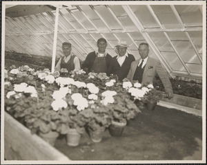 Forest Hill Cemetery employees. [Charles H.] Fox, [Daniel] Campagna, with cap, and straw hat