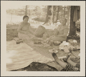 Arzouhaljian family having a picnic, Houghton Pond