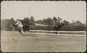 Horse race in acation [i.e. action]