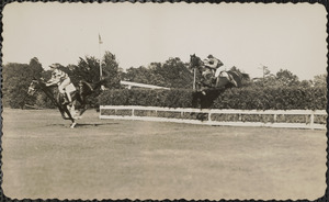 Horse race in acation [i.e. action]