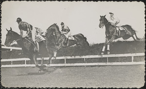 Horse race in acation [i.e. action]