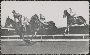 Horse race in acation [i.e. action]