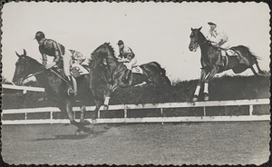 Horse race in acation [i.e. action]