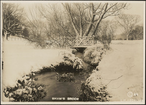 Shaw's Brook