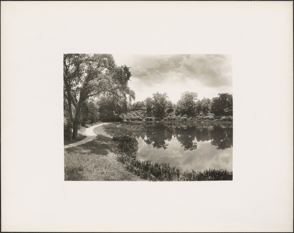 Reflecting clouds in Ward's Pond, looking down from Perkins Street