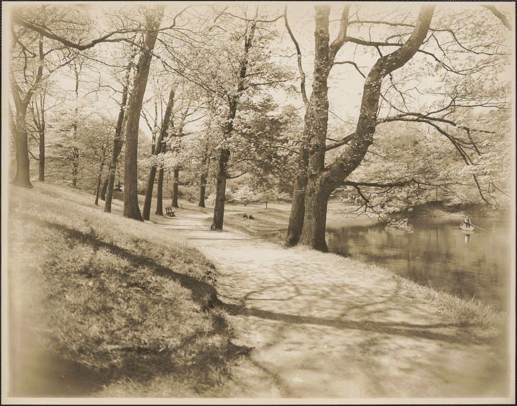 Jamaica Pond view