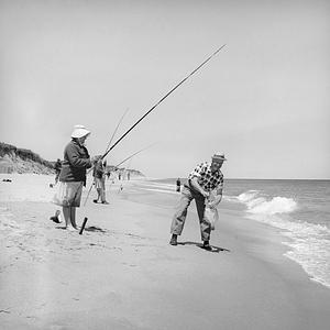 Cape Cod National Seashore Park, Eastham, MA