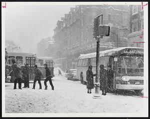 Buses in Harvard Sq.