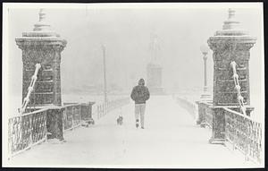 Snow - Public Gardens. Weather Snowstorm 3/29/70