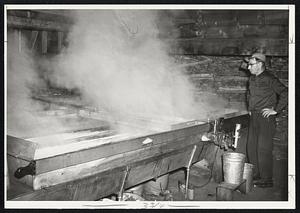 Orlando Small Sugar Bush "Evaporator" boils away water from maple syrup.