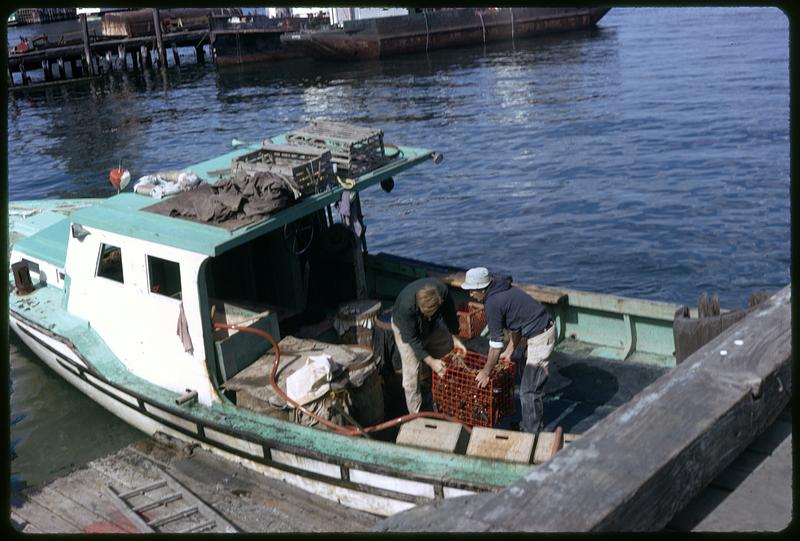 Fishermen with catch on boat