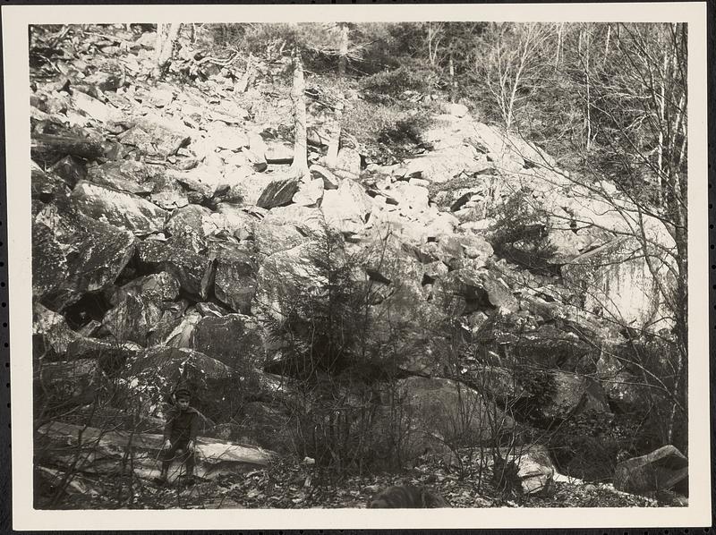 Wizard's Glen, Dalton, 1900