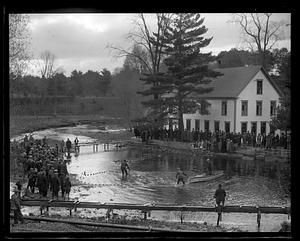 Salmon hatching, Raymond, Maine