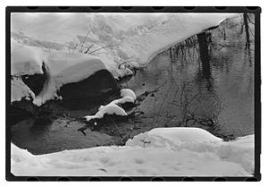 Snow pictures - Fenway