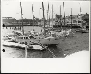 Marina, Boston Harbor