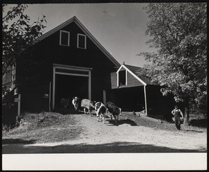 Orford, N.H.