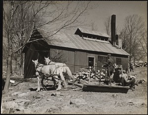 Lawrence Wyman driving the team of horses on Mrs. Fred S. Wyman's farm, Keene, N.H.