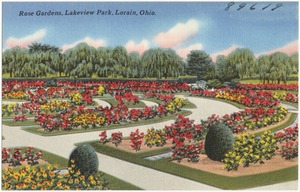 Rose gardens, Lakeview Park, Lorain, Ohio