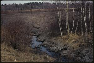 On Route 109, Millis-Medfield border, so. east