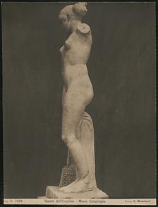 Venere dell'Esquilino - Museo Campidoglio