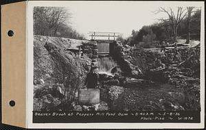 Beaver Brook at Pepper's mill pond dam, Ware, Mass., 8:40 AM, May 8, 1936