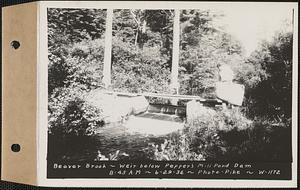 Beaver Brook at weir below Pepper's mill pond dam, Ware, Mass., 8:45 AM, Jun. 29, 1936