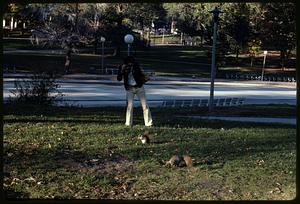 Person photographing squirrel, Boston Common