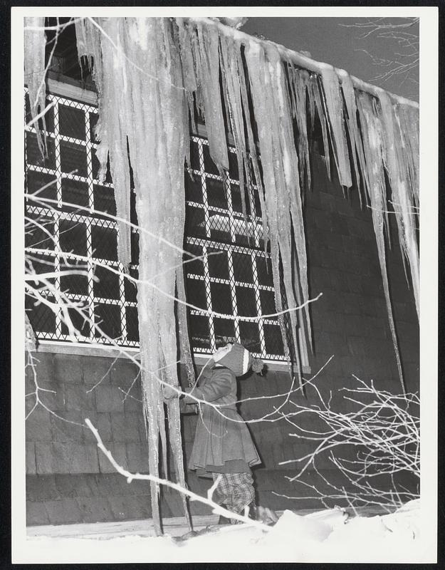 Roof-High Icicle - Huge chunk of ice that extends from eaves to ground at Harvard’s Newell boathouse near the Stadium is admired by Pauline Murphy, 6, of Cambridge, who’s much shorter.