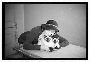 Cat show