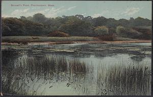 Bennett's Pond, Provincetown, Mass.