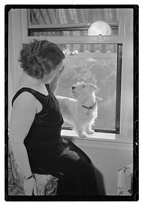 Madame Rene Miquelle