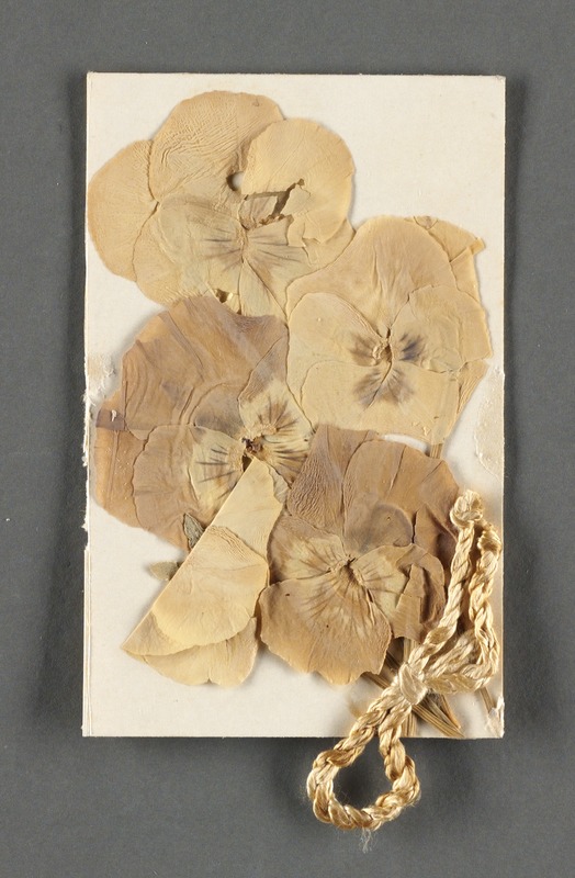 Emily Dickinson, Amherst, Mass., autograph manuscript poem: South winds jostle them, 1862