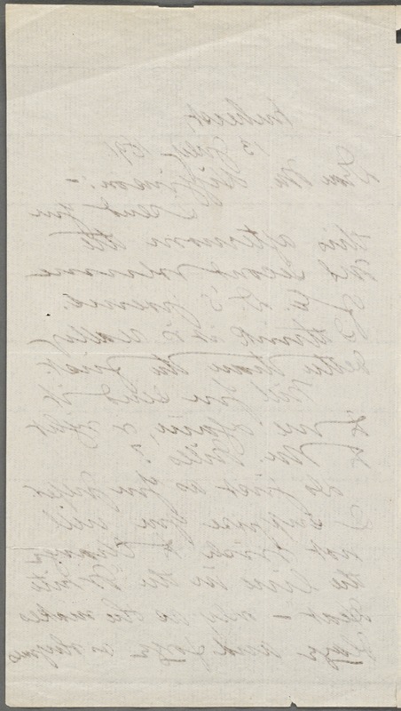 Mabel Loomis Todd, Amherst, Mass., autograph letter signed to Thomas Wentworth Higginson, 13 July 1891