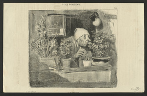 L'Odorat