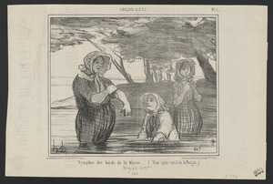 Nymphes des bords de la Marne