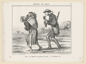 Enfin, je rapporte une grappe de raisin...