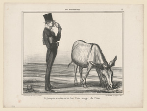 Si j'essayais...de leur faire manger de l'âne!