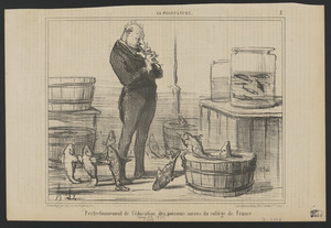 Perfectionnement de l'éducation des poissons...
